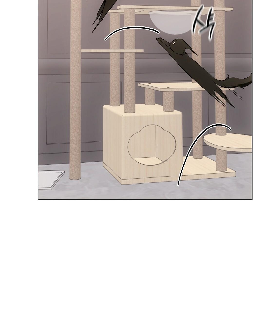 Cat Therapy Chapter 21 page 80 - 