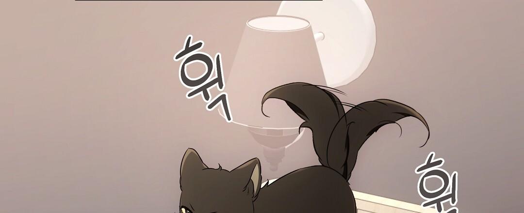 Cat Therapy Chapter 21 page 87 - 