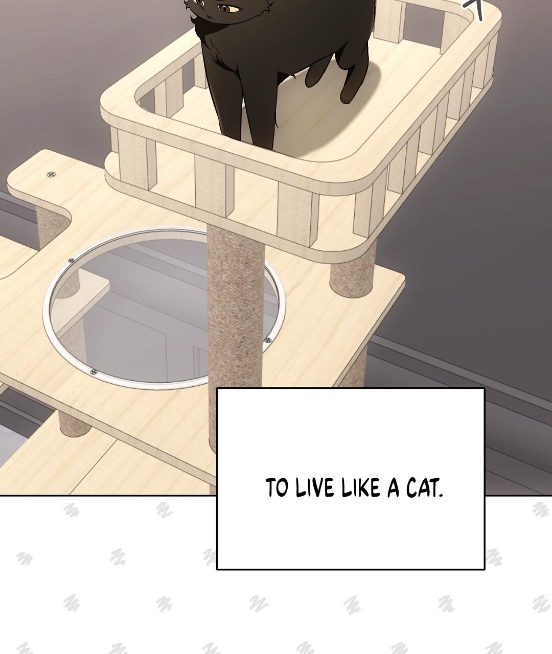 Cat Therapy Chapter 21 page 88 - 