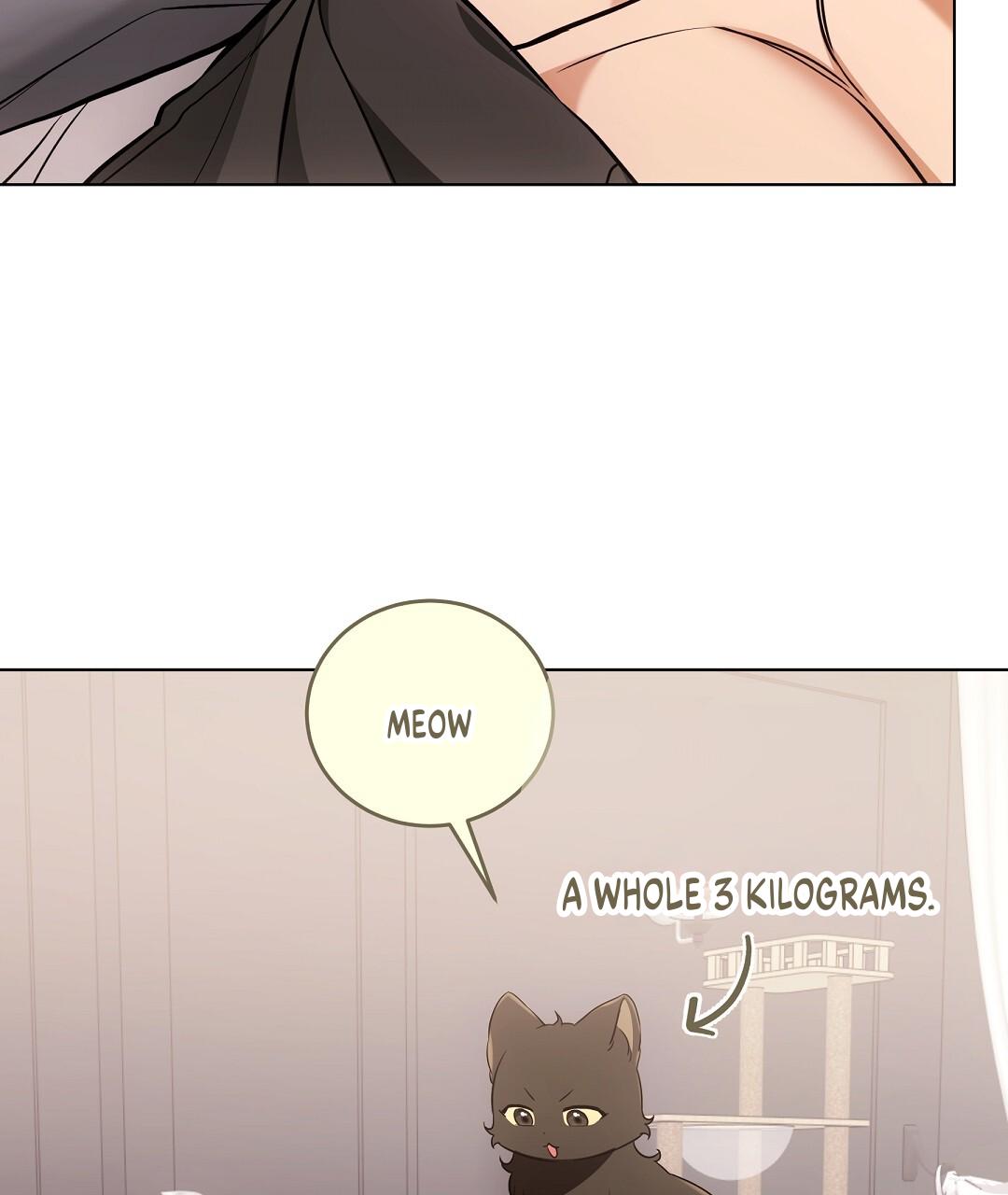 Cat Therapy Chapter 21 page 98 - 