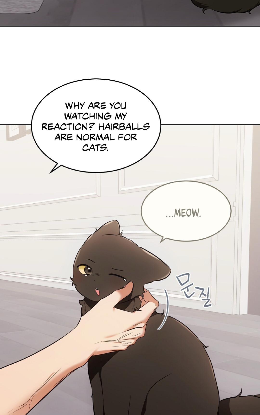Cat Therapy Chapter 22 page 104 - 