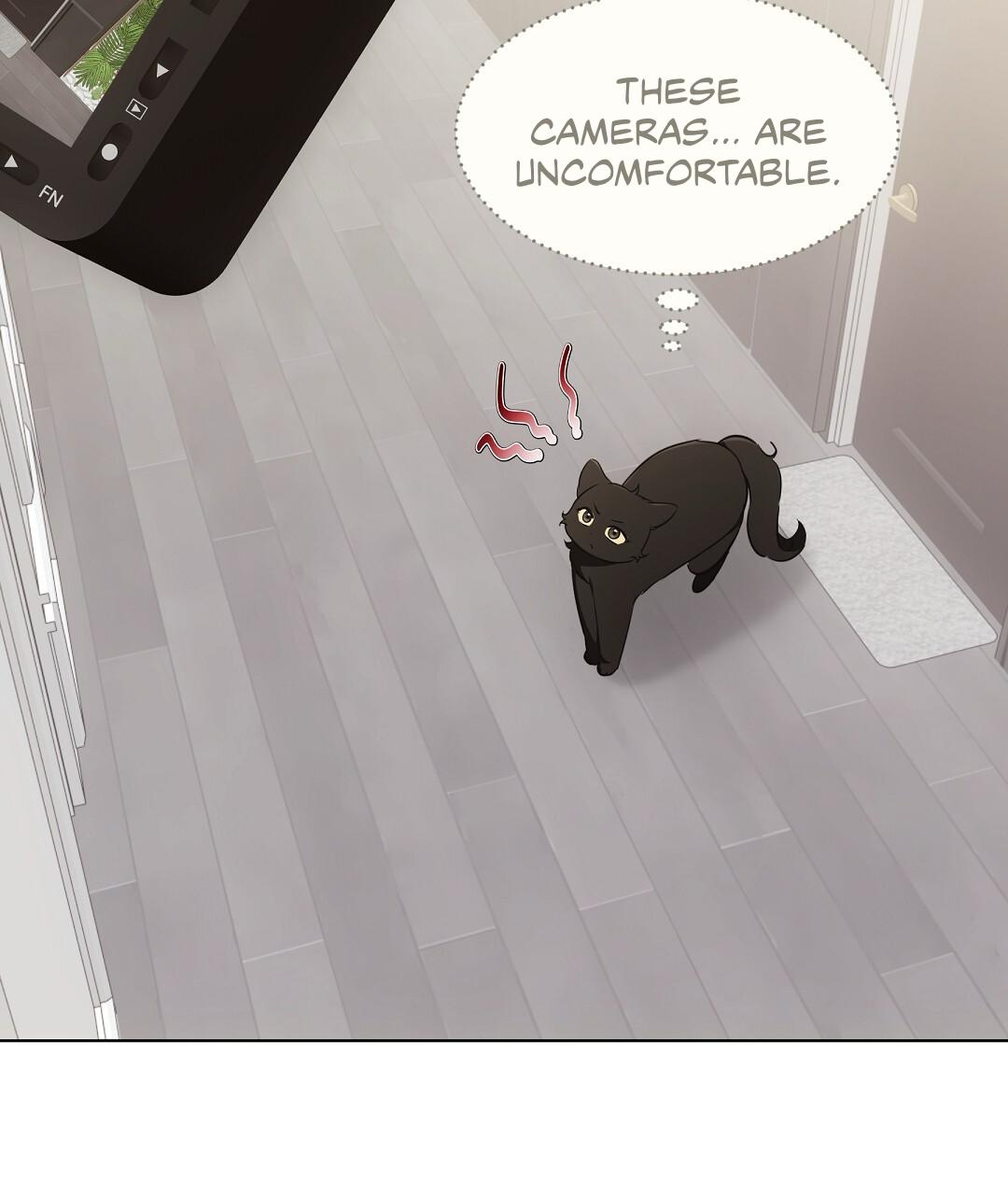Cat Therapy Chapter 22 page 56 - 