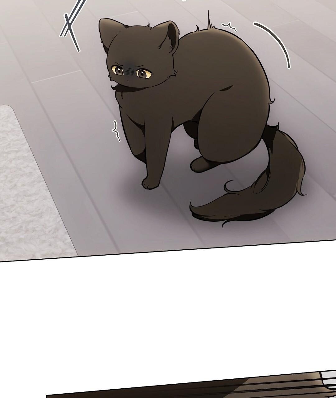 Cat Therapy Chapter 22 page 64 - 