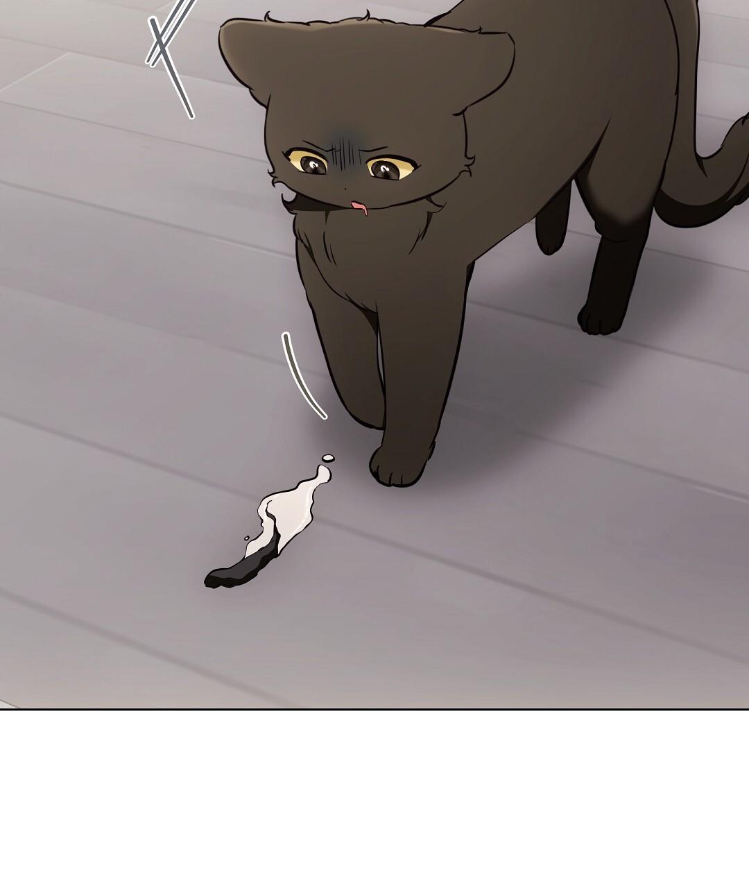 Cat Therapy Chapter 22 page 71 - 