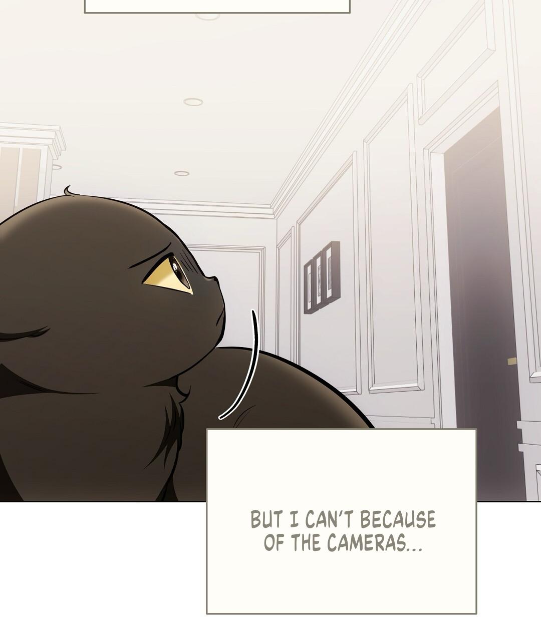 Cat Therapy Chapter 22 page 77 - 