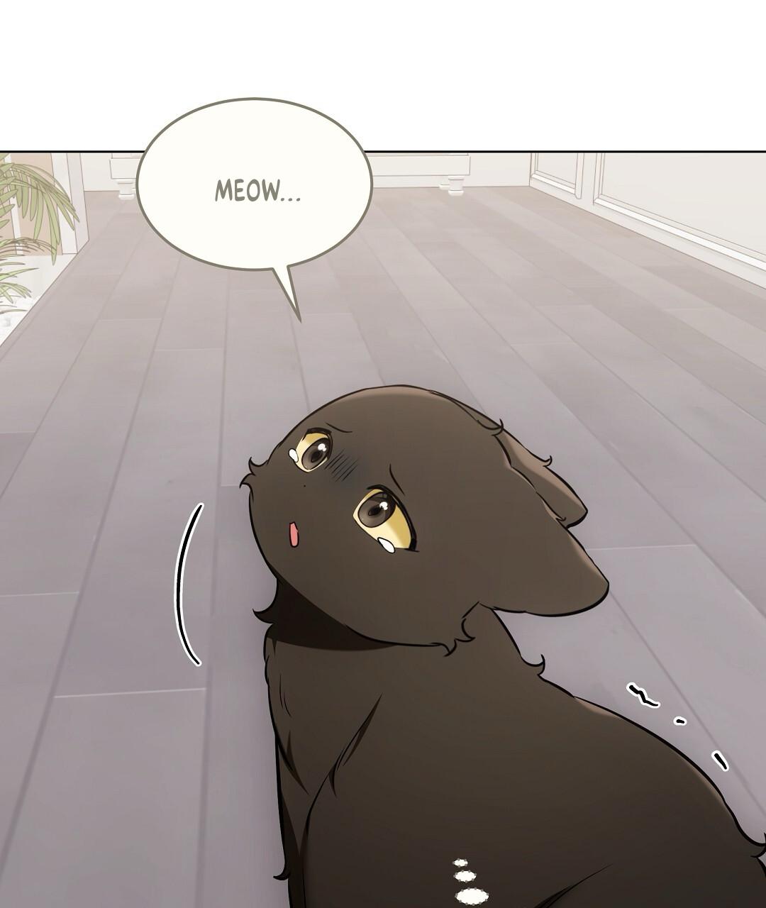 Cat Therapy Chapter 22 page 85 - 