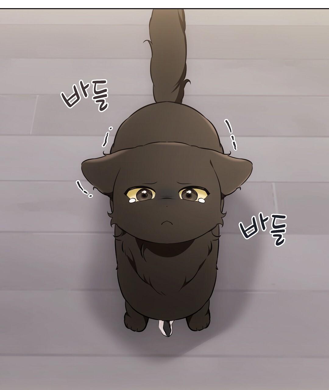 Cat Therapy Chapter 22 page 89 - 