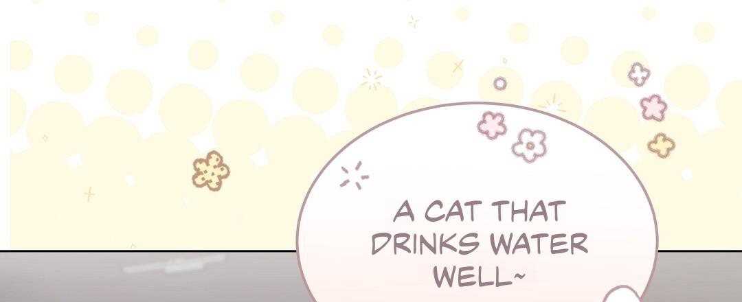 Cat Therapy Chapter 23 page 12 - 
