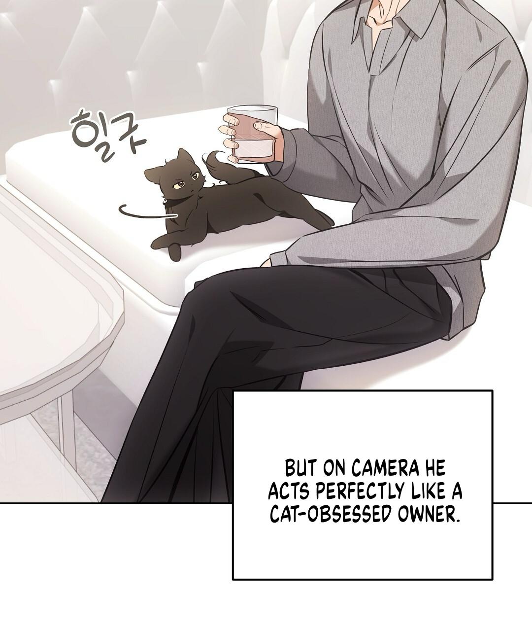 Cat Therapy Chapter 23 page 21 - 