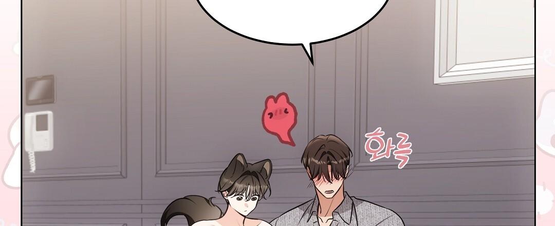 Cat Therapy Chapter 23 page 43 - 