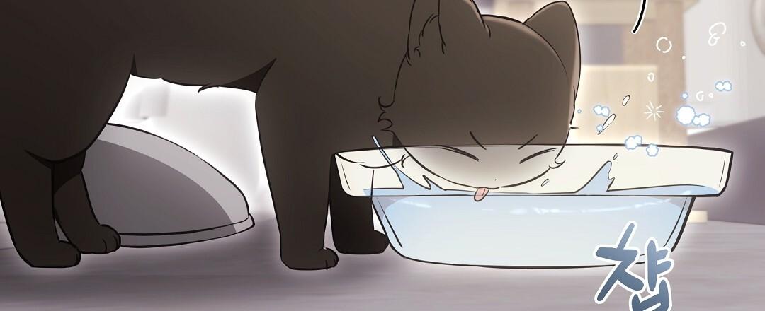 Cat Therapy Chapter 23 page 9 - 