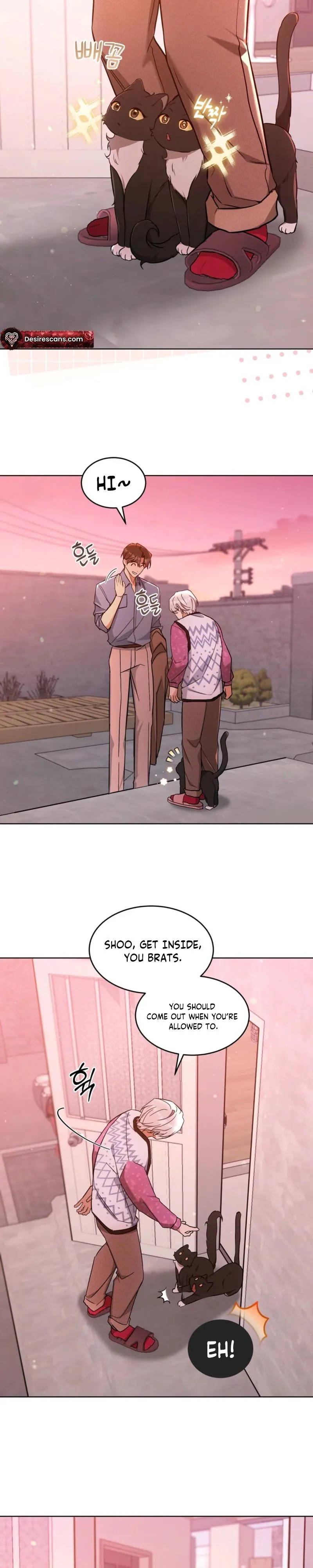 Cat Therapy Chapter 31 page 19 - 
