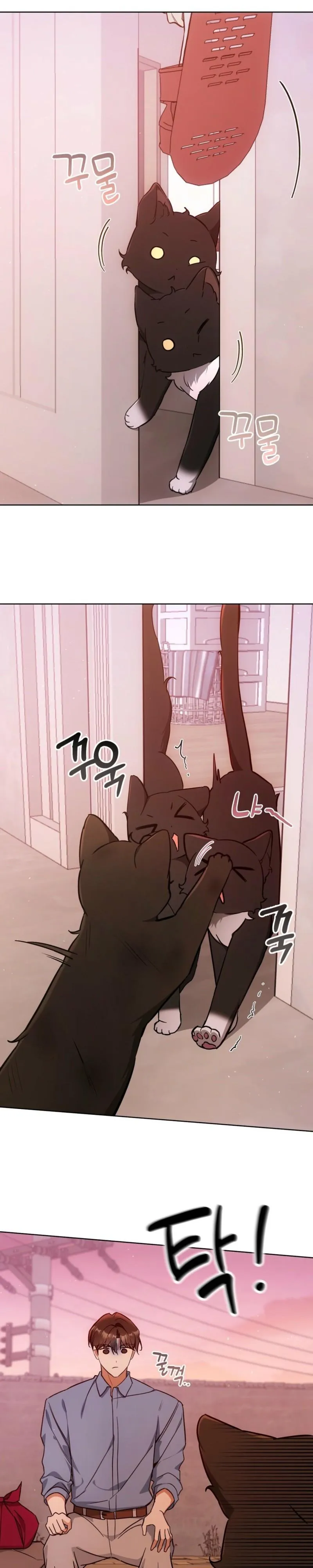Cat Therapy Chapter 32 page 20 - 