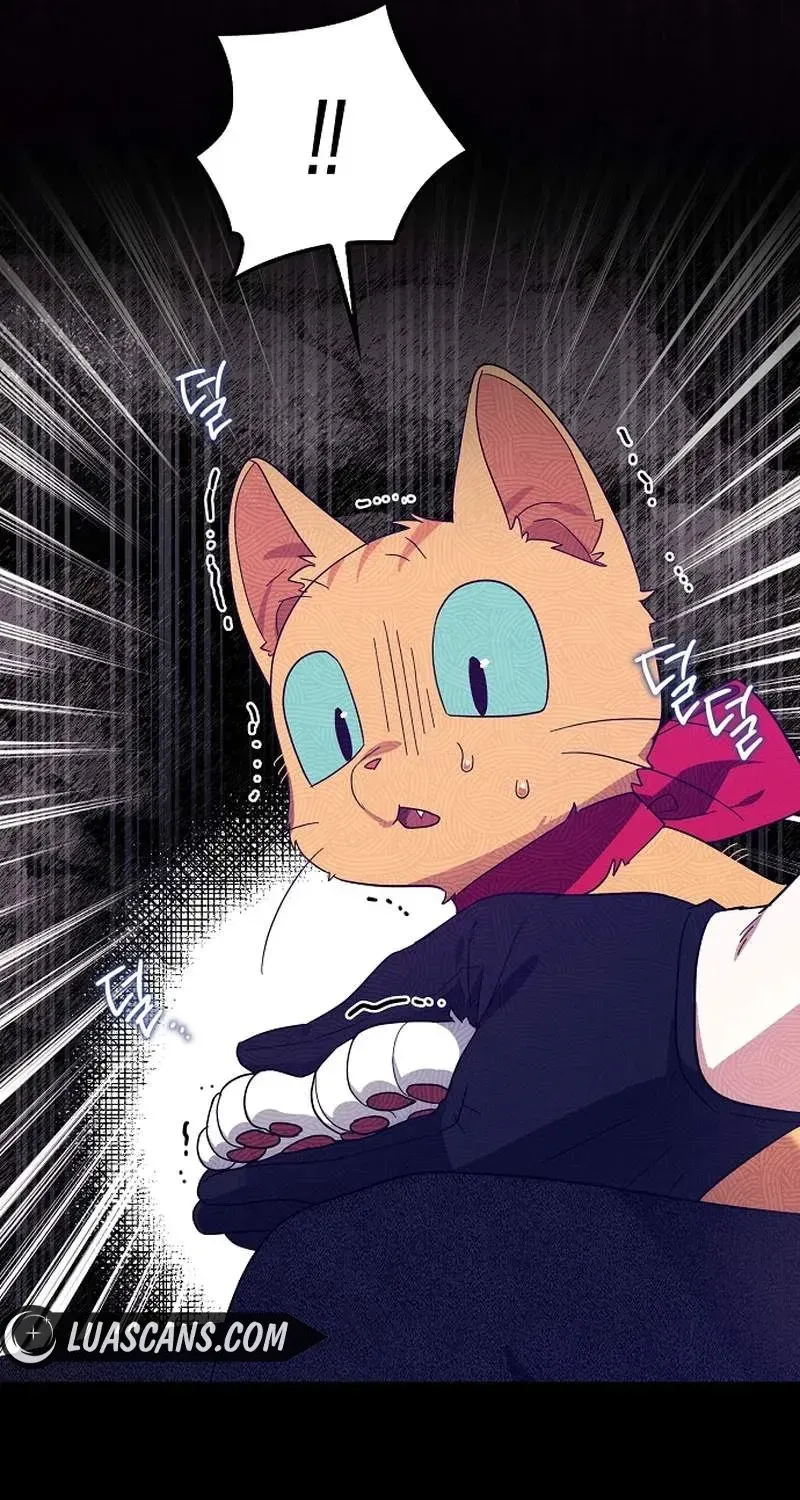 Catherine