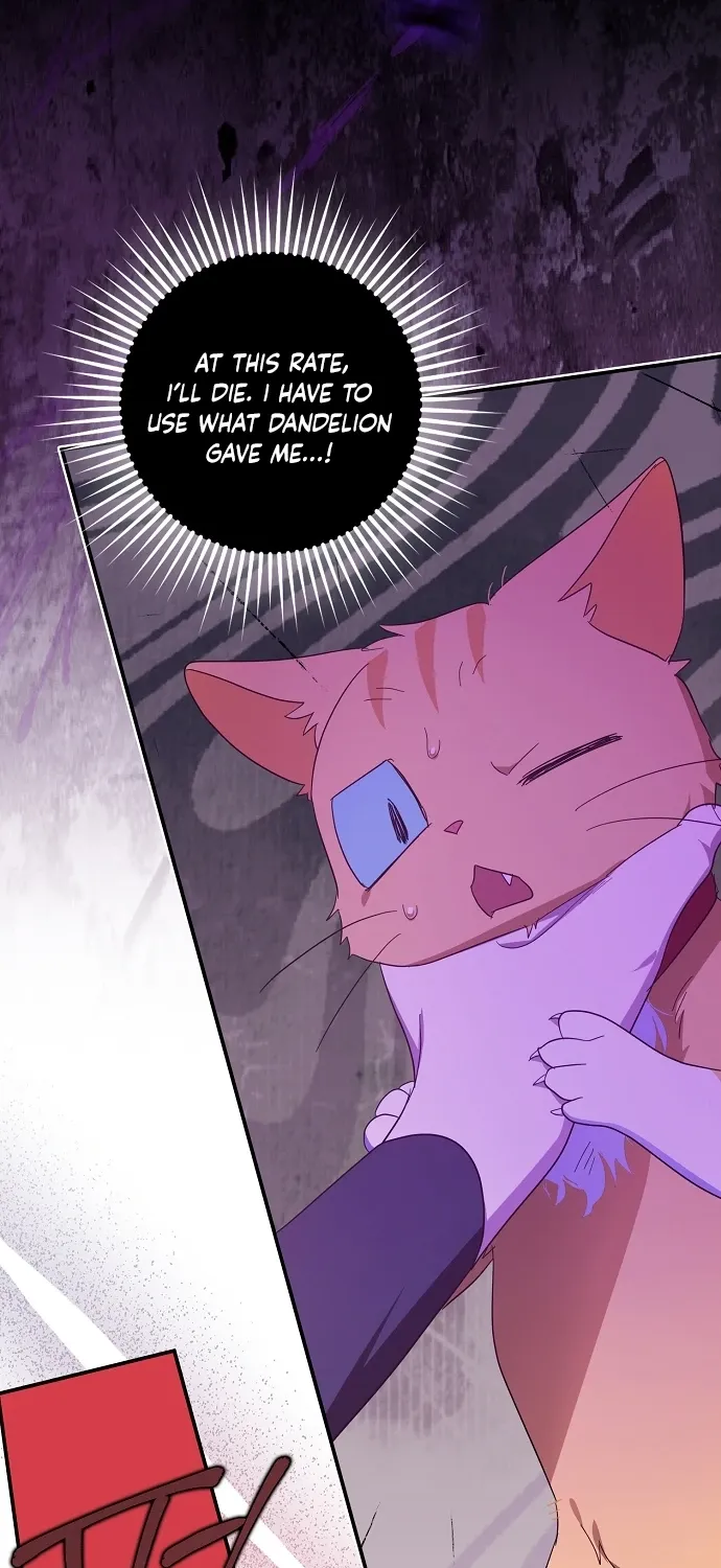 Catherine