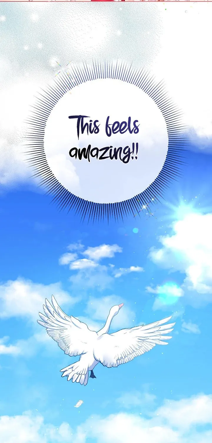 Celeb Lady Chapter 1 page 84 - 