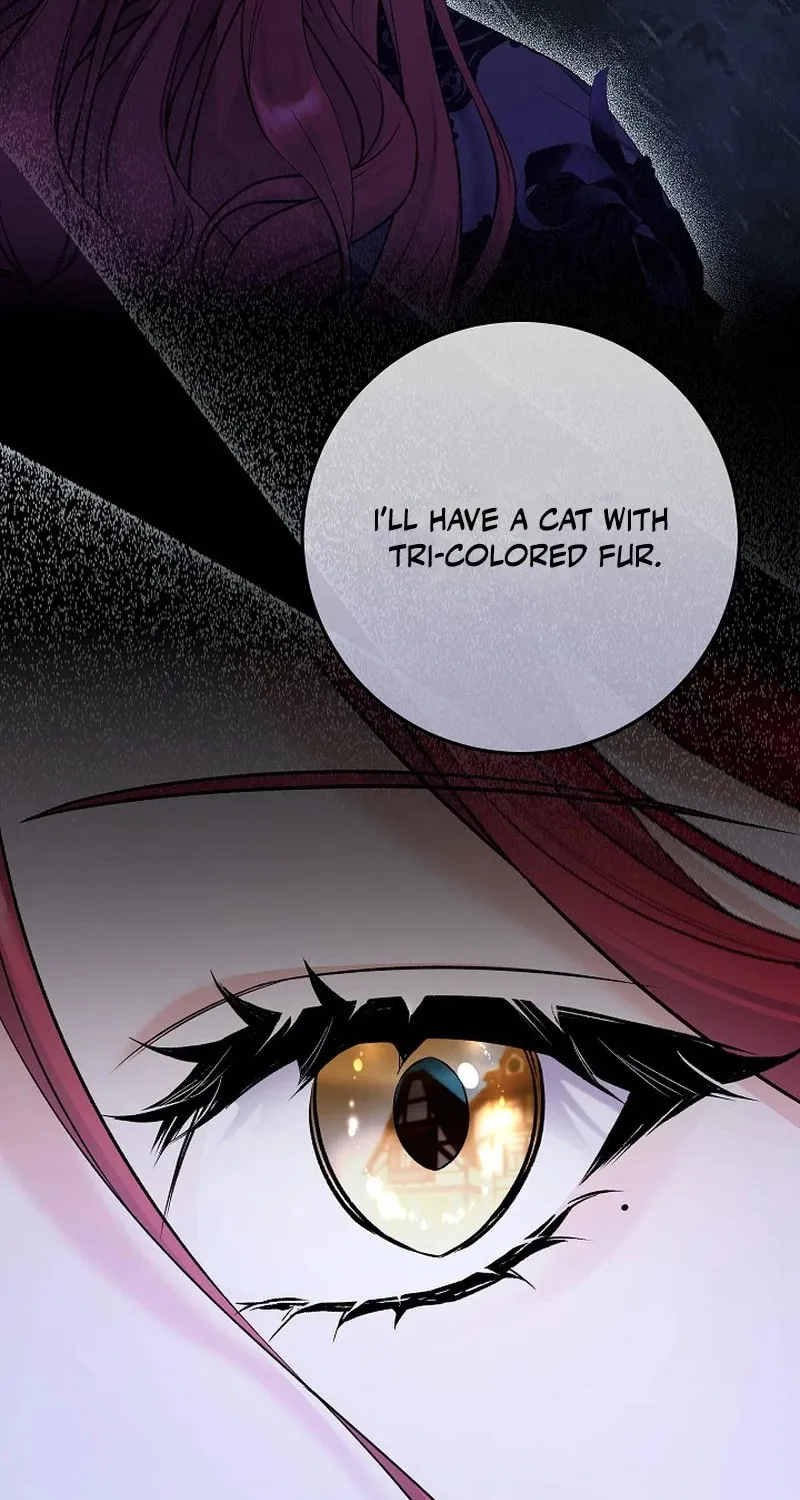 Celeb Lady Chapter 18 page 42 - 