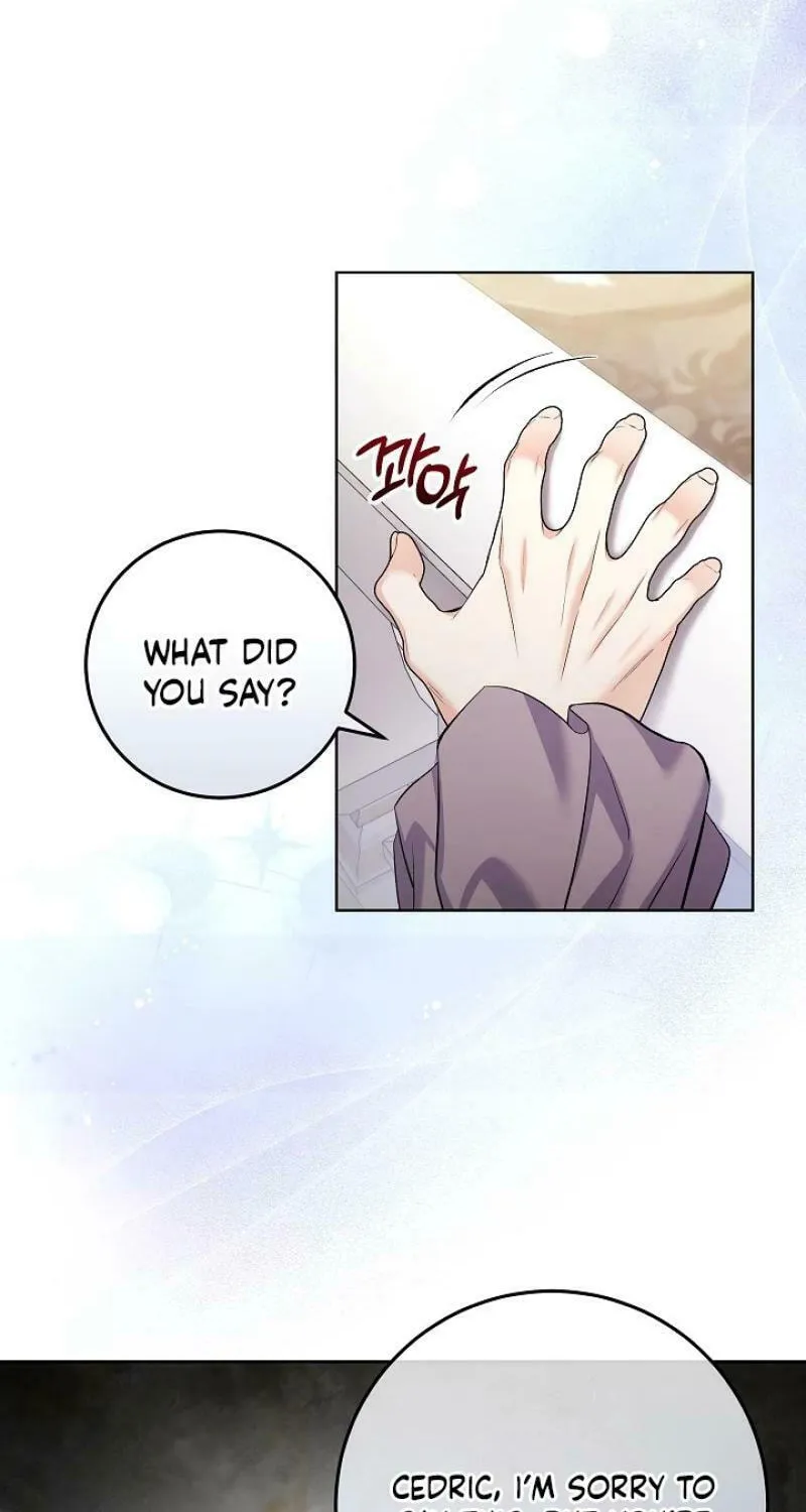 Celeb Lady Chapter 21 page 17 - 