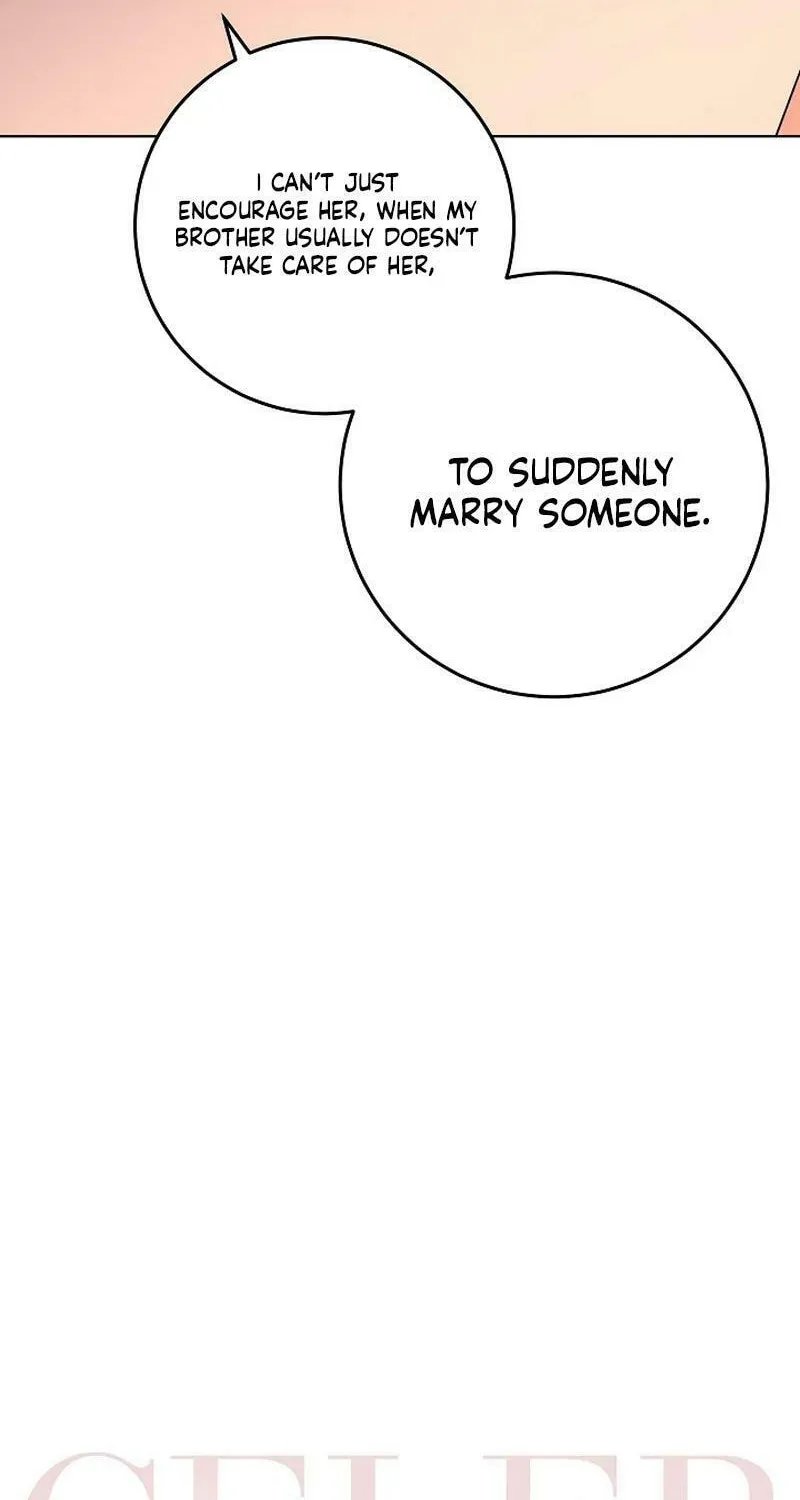 Celeb Lady Chapter 26 page 17 - 