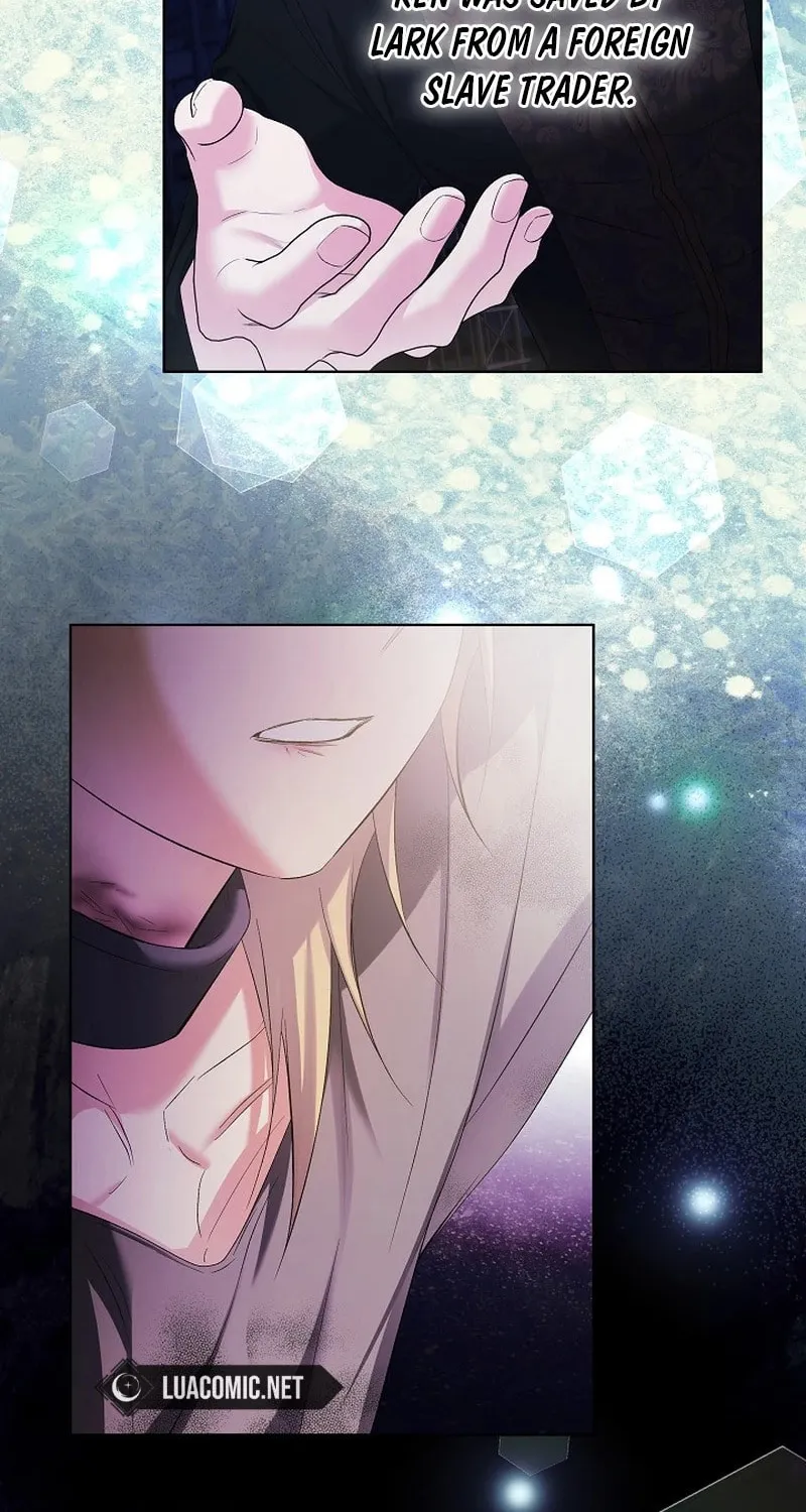 Celeb Lady Chapter 28 page 17 - 