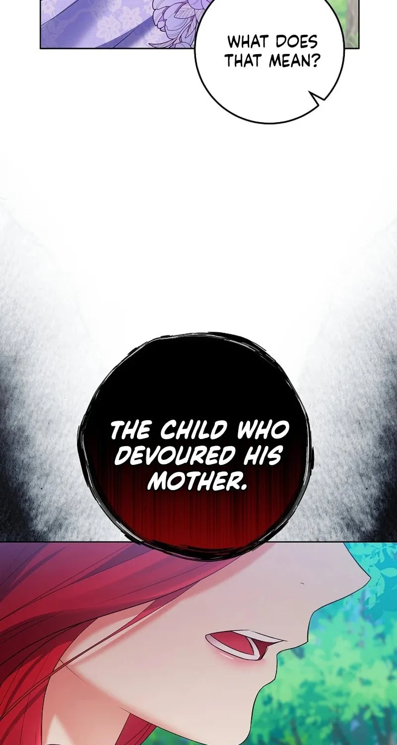 Celeb Lady Chapter 31 page 5 - 