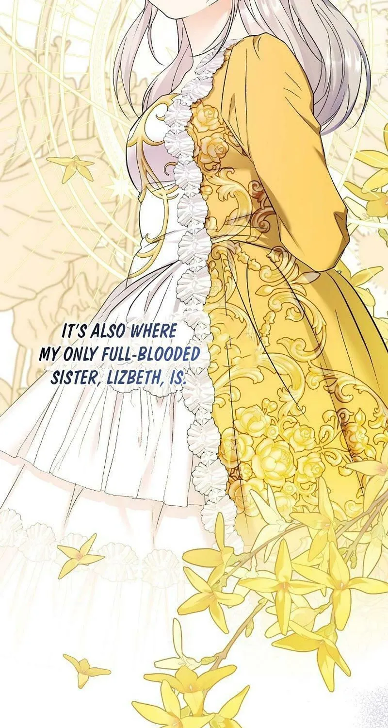 Celeb Lady Chapter 32 page 61 - 