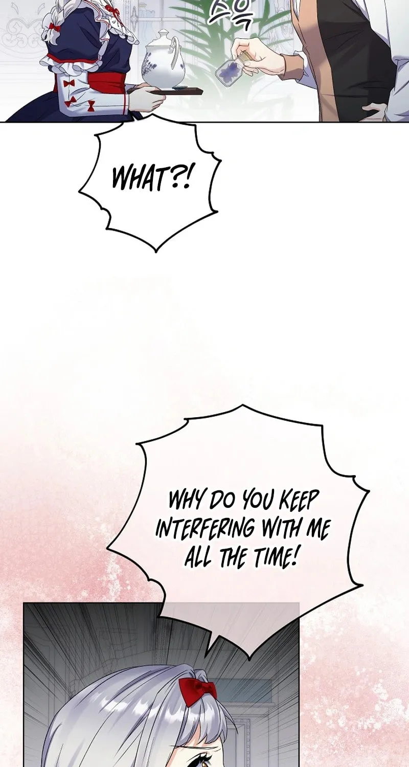 Celeb Lady Chapter 33 page 33 - 