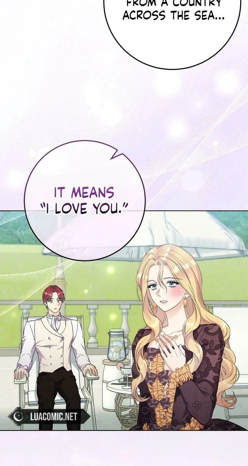 Celeb Lady Chapter 38 page 5 - 