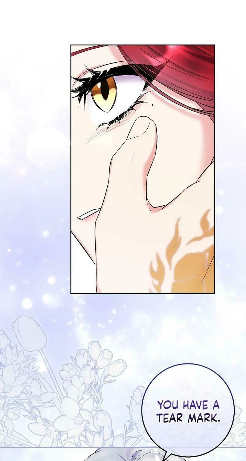 Celeb Lady Chapter 40 page 67 - 