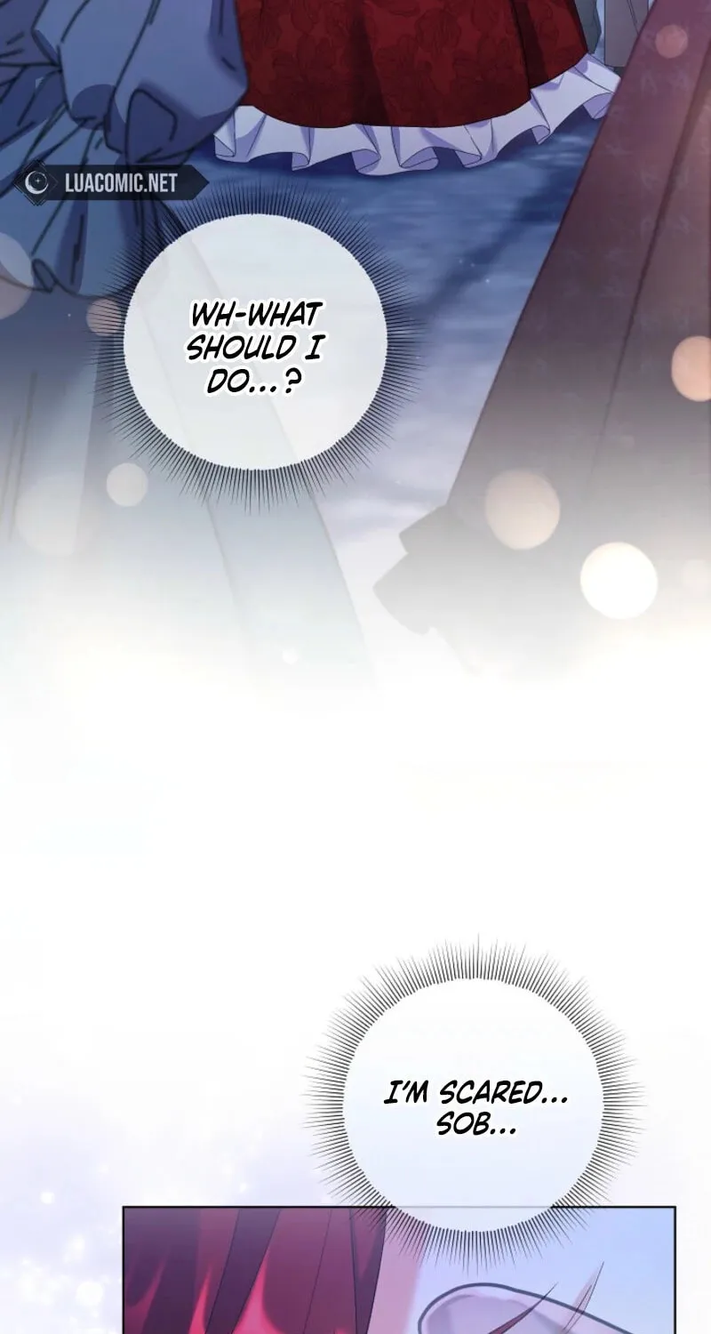 Celeb Lady Chapter 41 page 5 - 