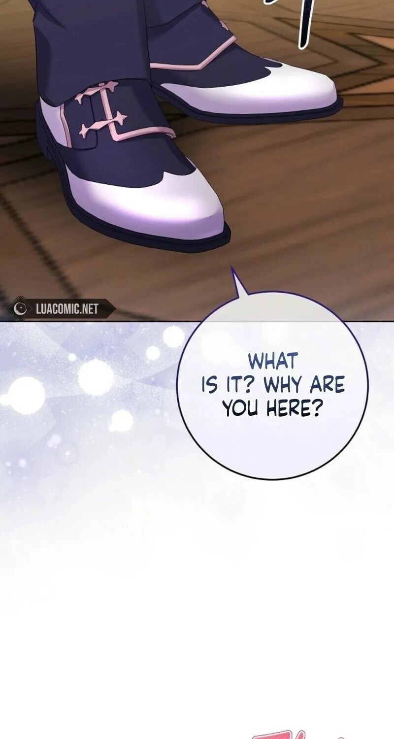 Celeb Lady Chapter 45 page 66 - 