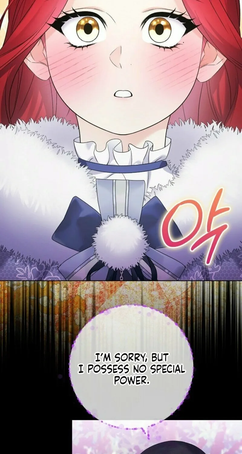 Celeb Lady Chapter 48 page 51 - 