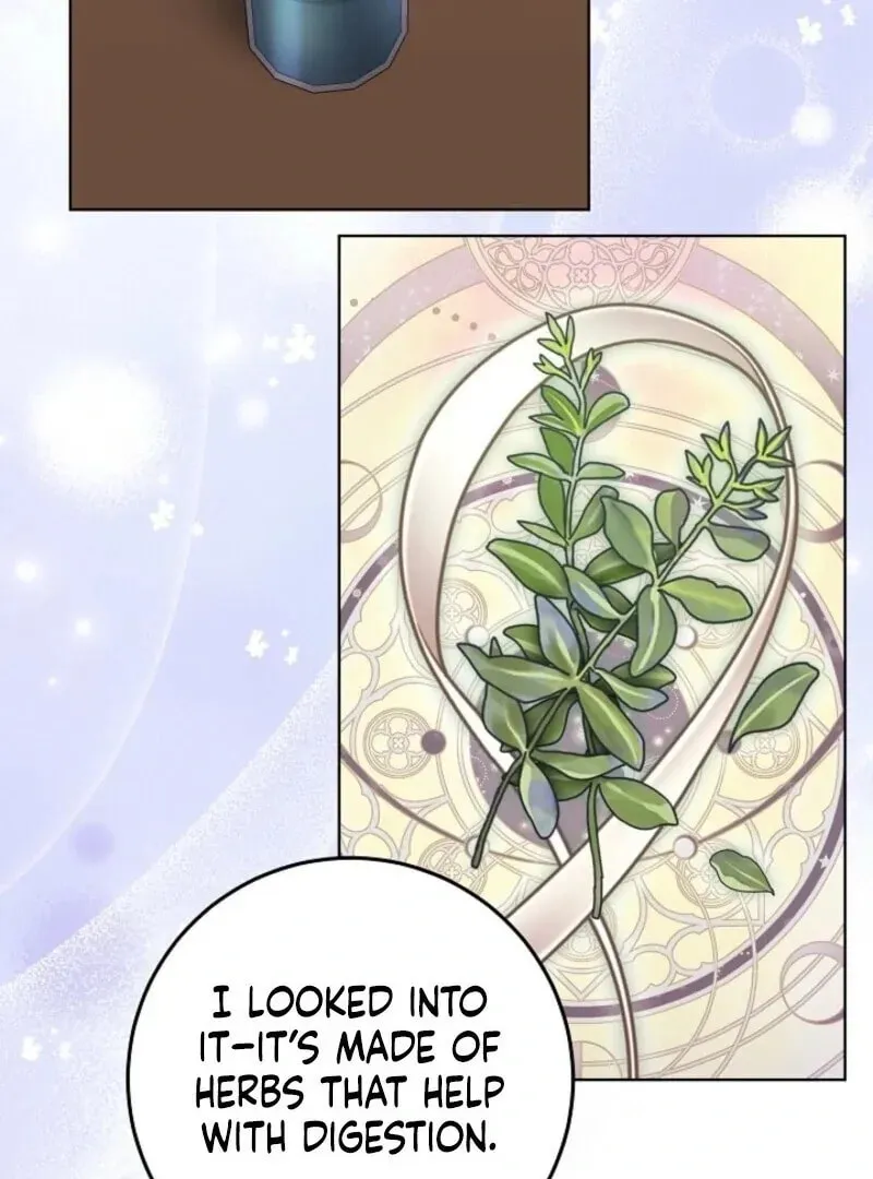 Celeb Lady Chapter 52 page 61 - 