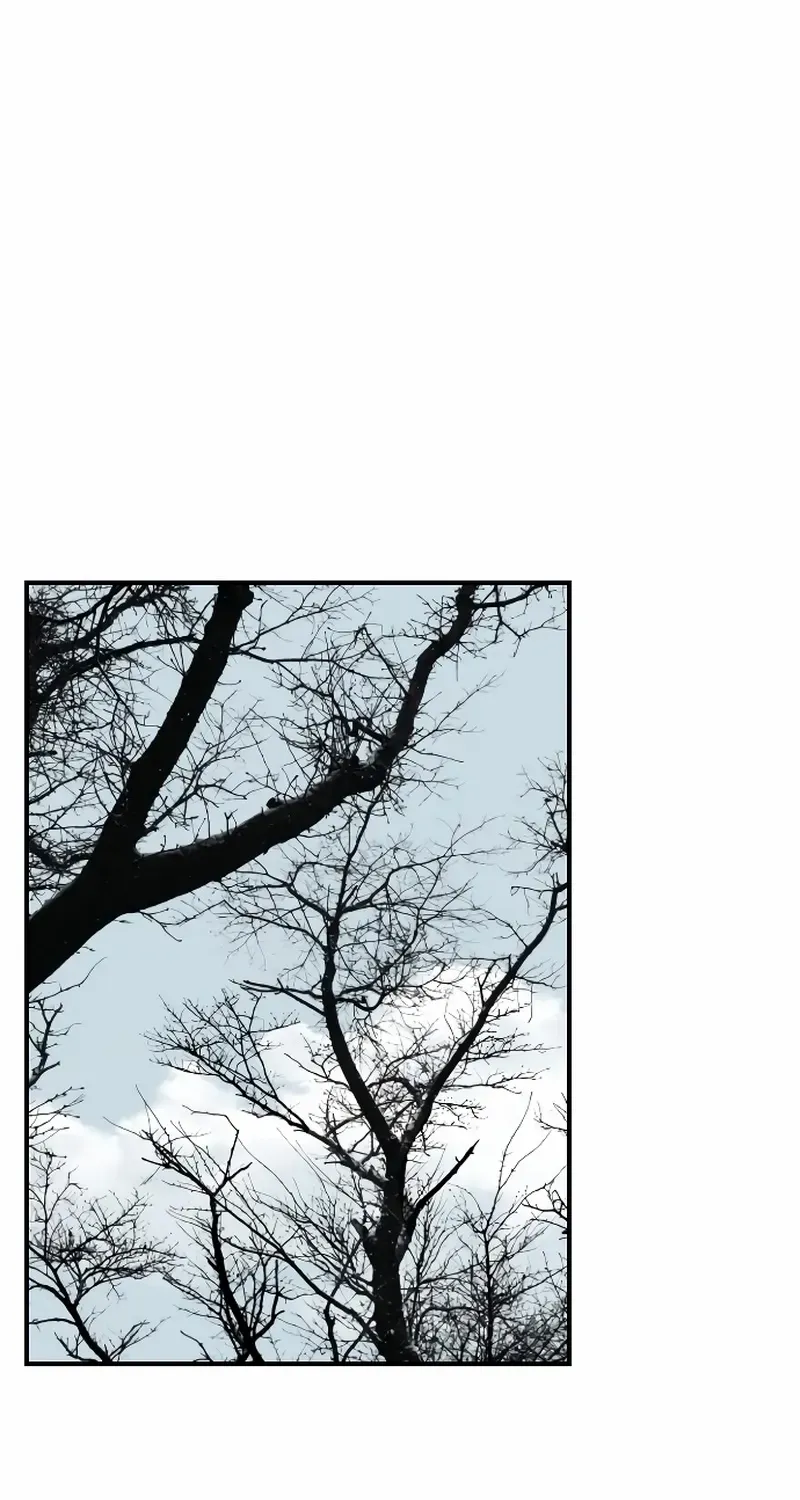 Certificate of Dignity Chapter 2 page 96 - 