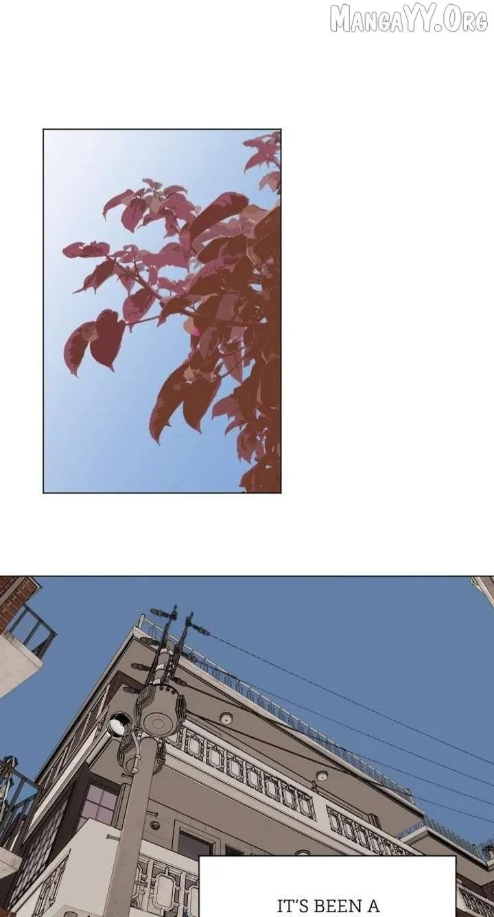 Certificate of Dignity Chapter 20 page 2 - 