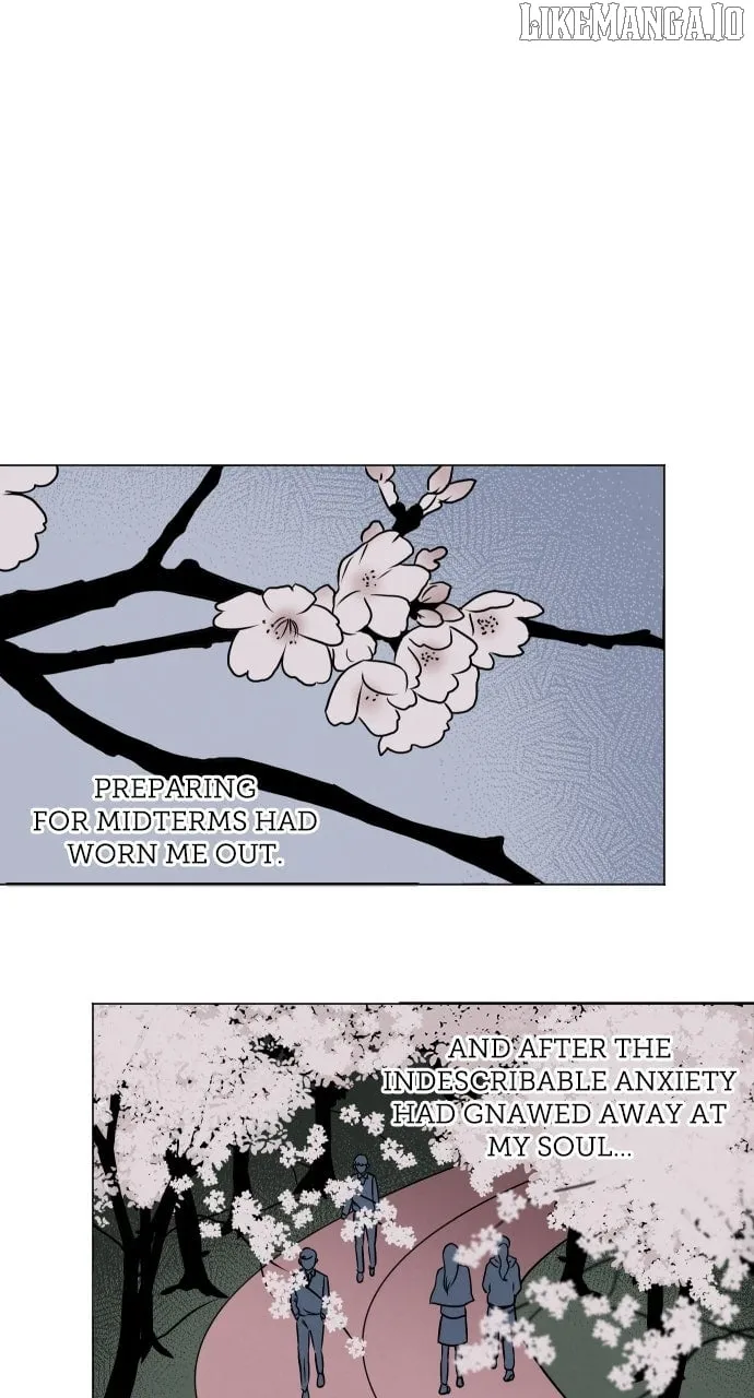 Certificate of Dignity Chapter 7 page 38 - 