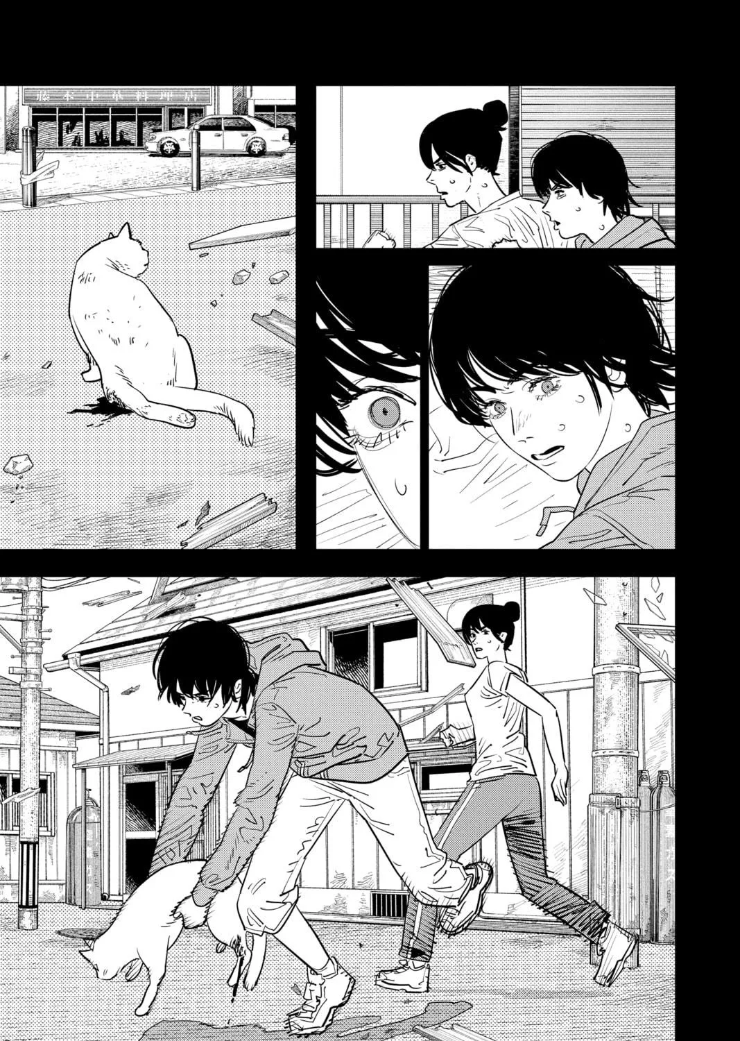 Chainsaw Man Chapter 102 page 29 - 