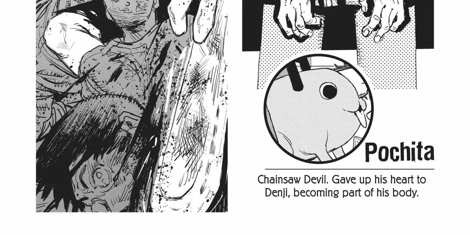 Chainsaw Man Chapter 17.1 page 11 - 