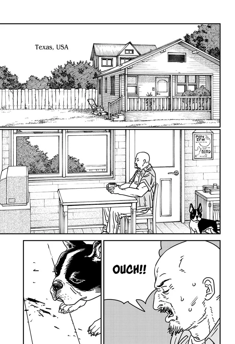 Chainsaw Man Chapter 177 page 13 - 