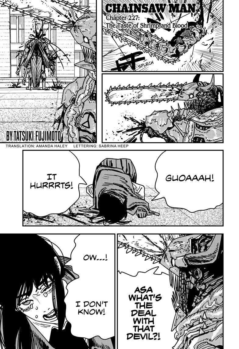 Chainsaw Man Chapter 227 page 1 - 