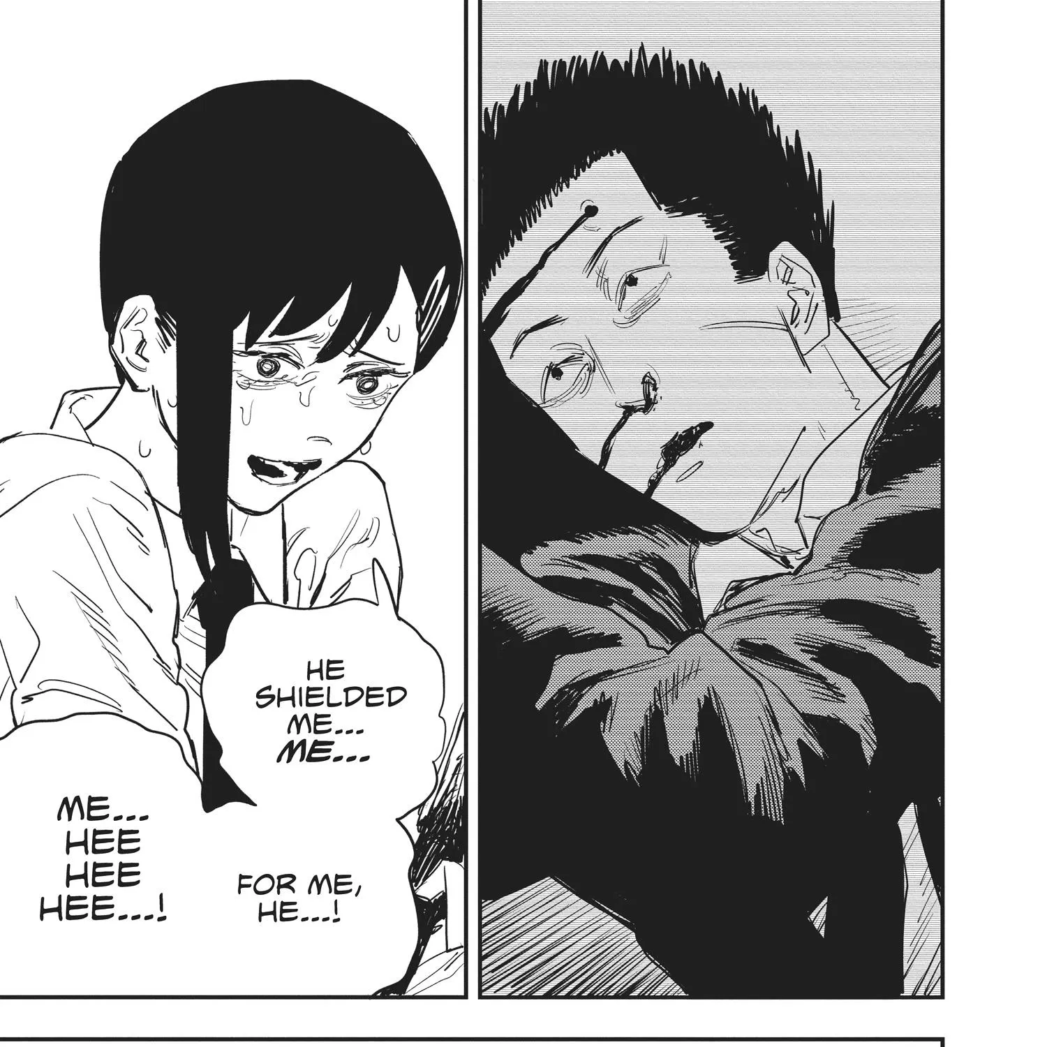 Chainsaw Man Chapter 26.1 page 117 - 