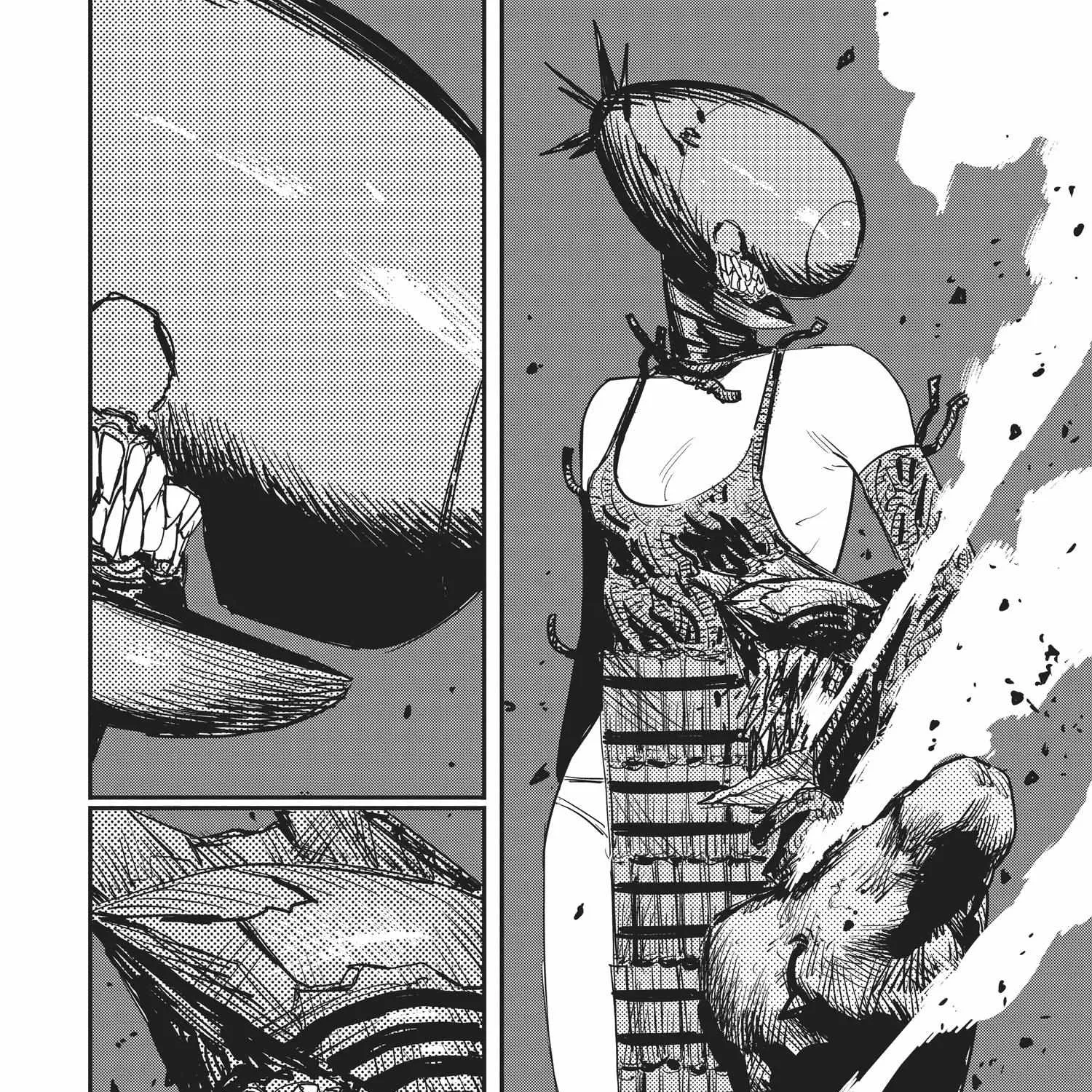 Chainsaw Man Chapter 44.1 page 204 - 
