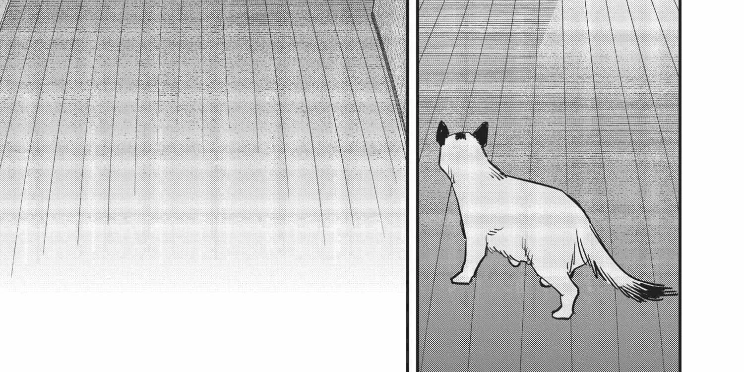 Chainsaw Man Chapter 44.1 page 326 - 