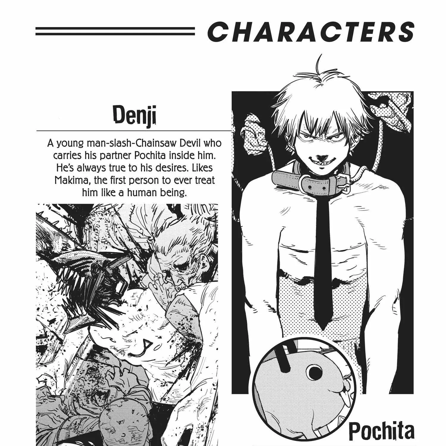 Chainsaw Man Chapter 44.1 page 10 - 