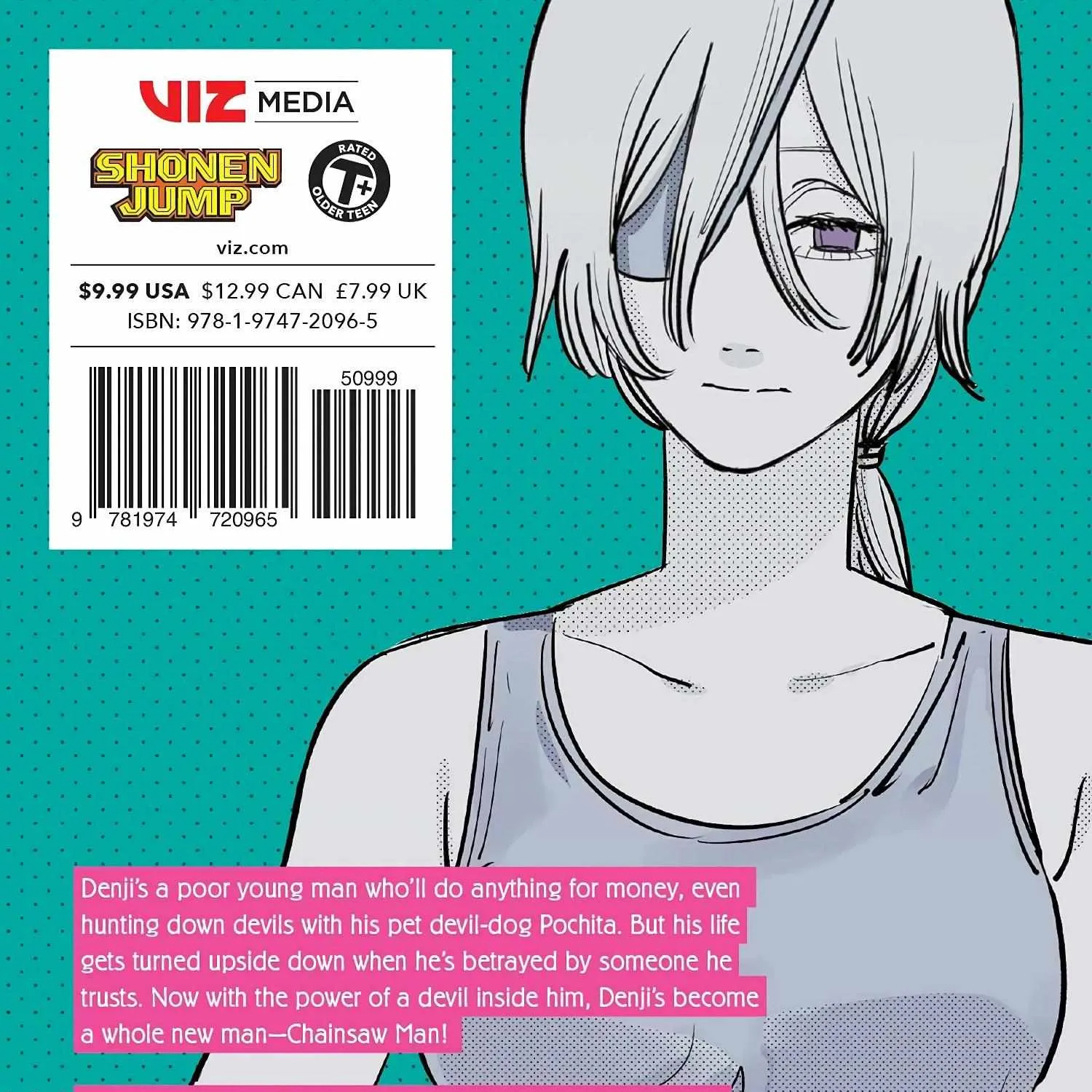 Chainsaw Man Chapter 53.1 page 393 - 