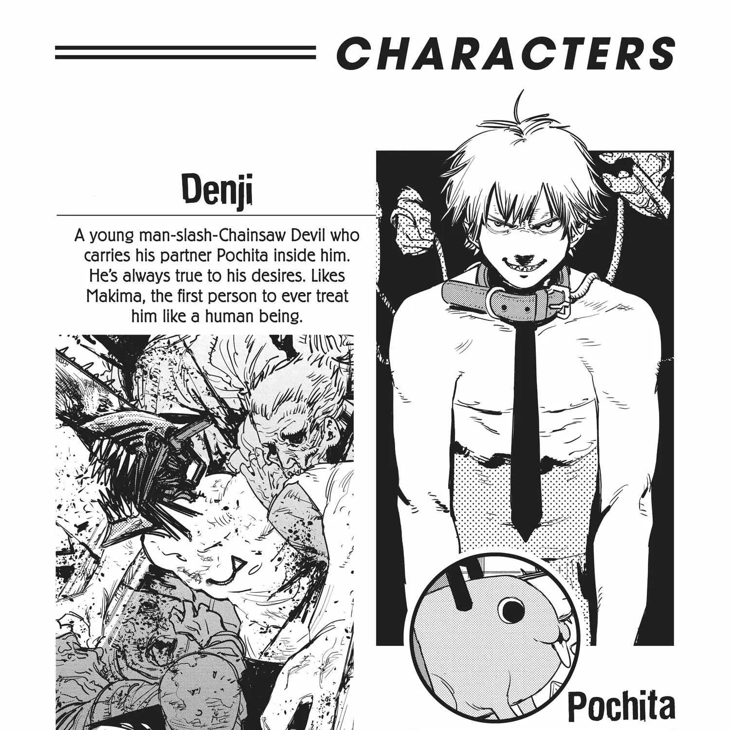 Chainsaw Man Chapter 53.1 page 10 - 