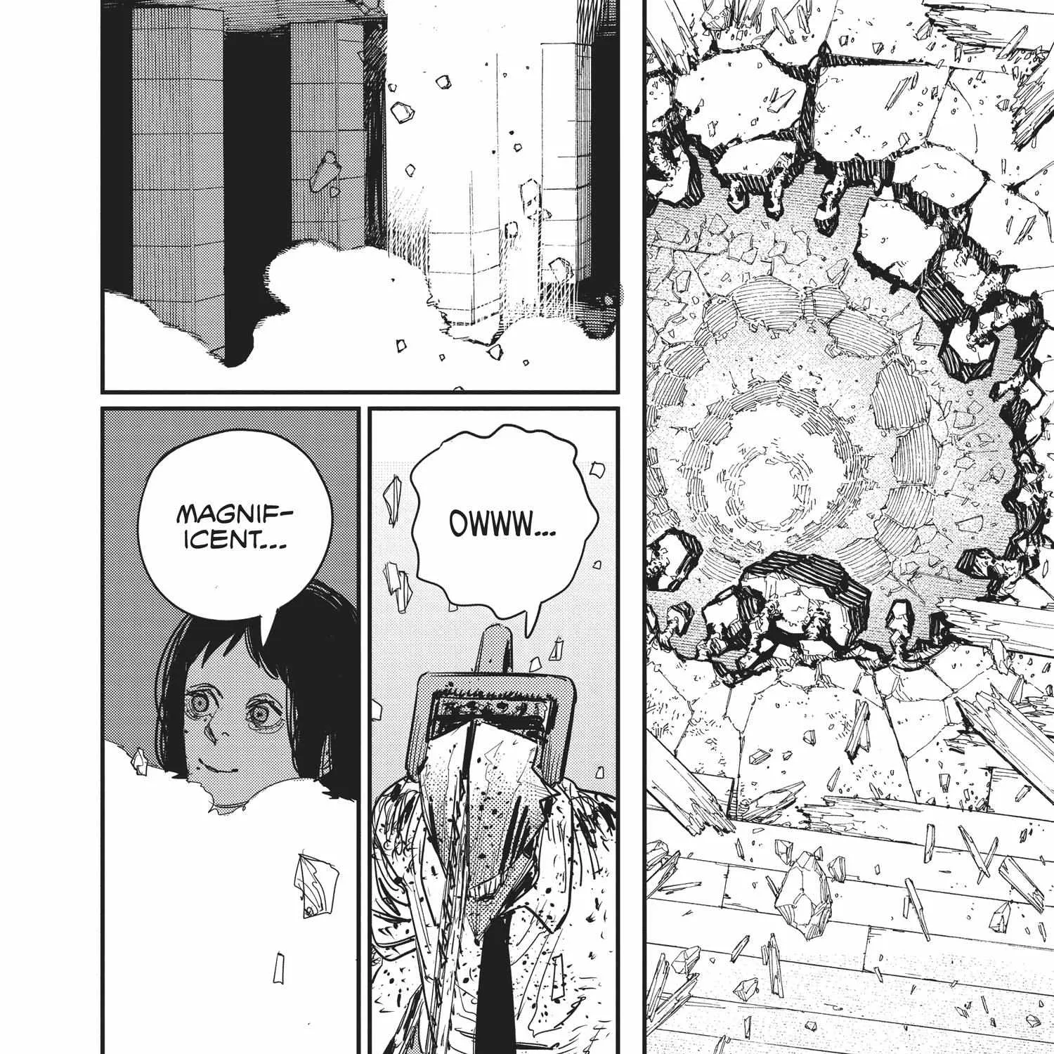 Chainsaw Man Chapter 62.1 page 217 - 