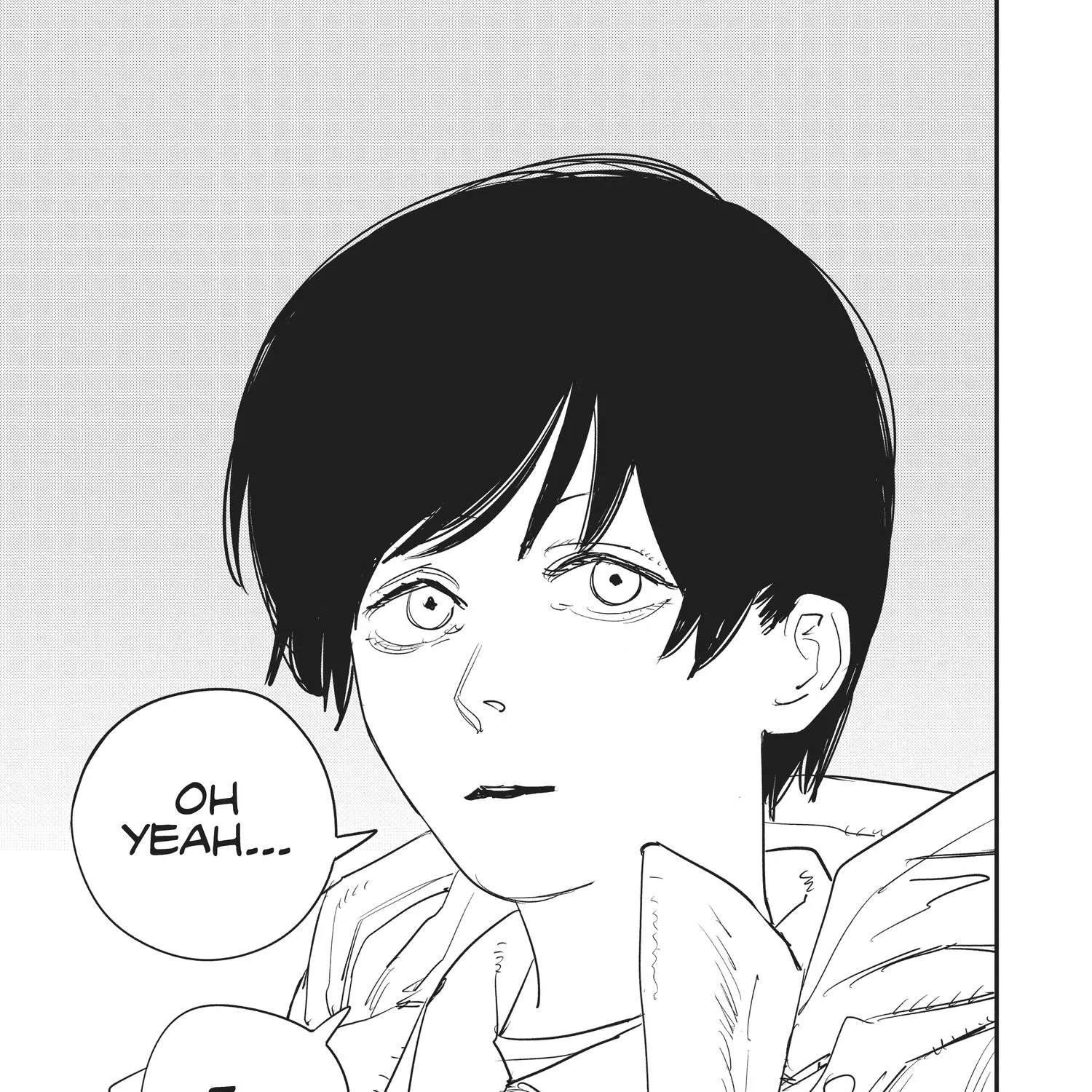 Chainsaw Man Chapter 71.1 page 336 - 