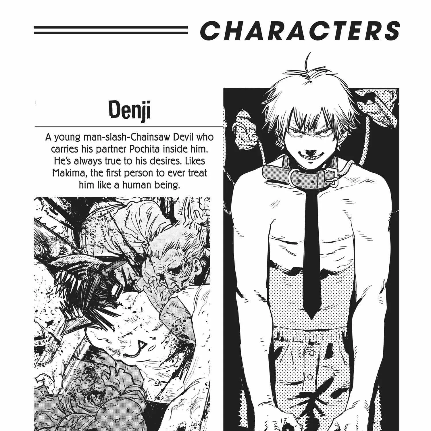 Chainsaw Man Chapter 71.1 page 10 - 