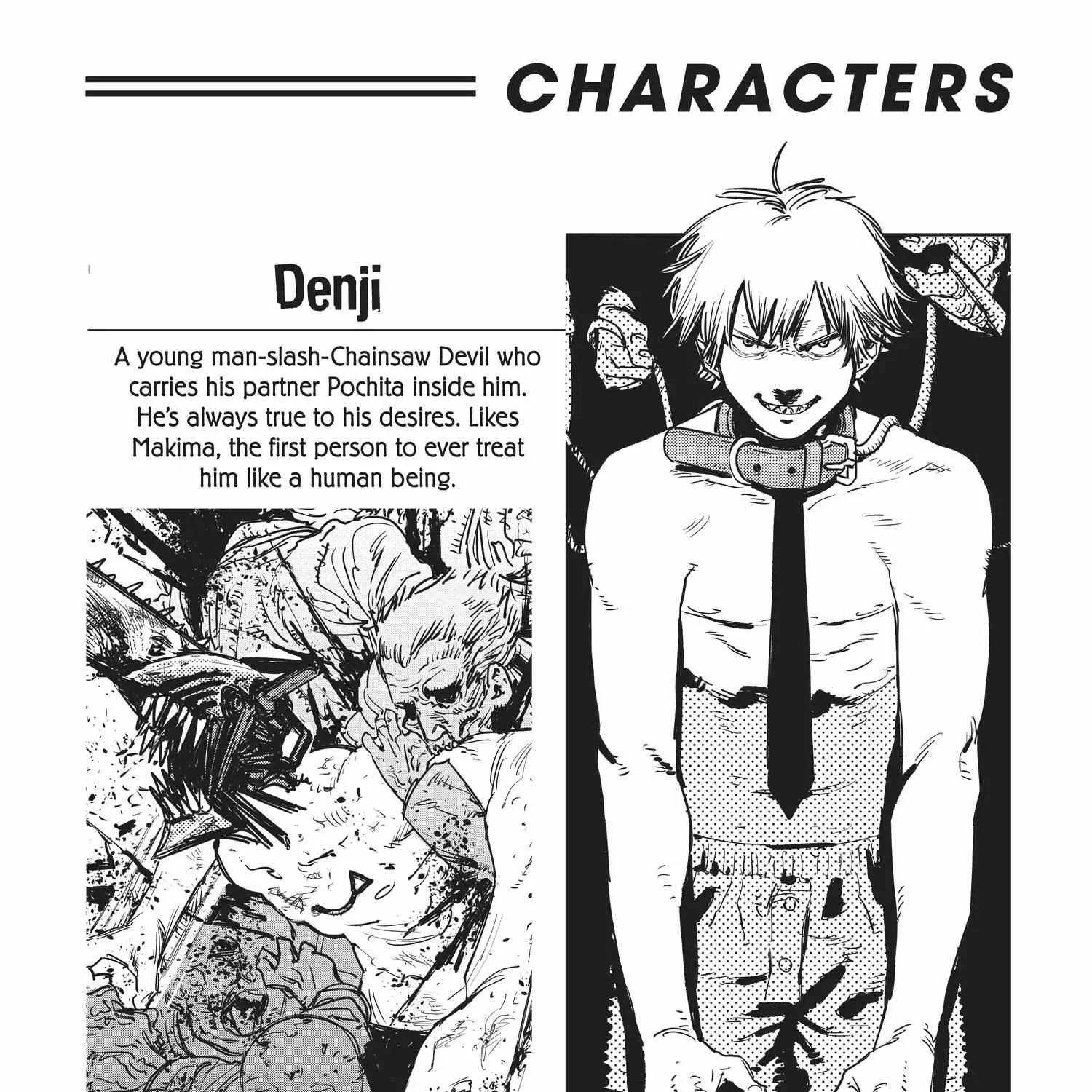 Chainsaw Man Chapter 80.1 page 10 - 